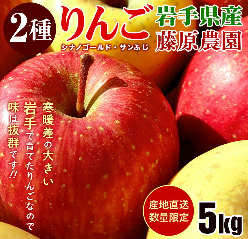 【ふるさと納税】先行予約《2024年11月中旬～発送》藤原農園のりんご2種の詰め合わせ『シナノゴールド・サンふじ』5kg 14玉～20玉 果物類 美味しい 生産 大人気 果汁 果肉 やや硬い シャキシャキ 食感 絶品 高糖度 蜜 甘い 食べ比べ 　お届け：2025年10月中旬～2026年3月末