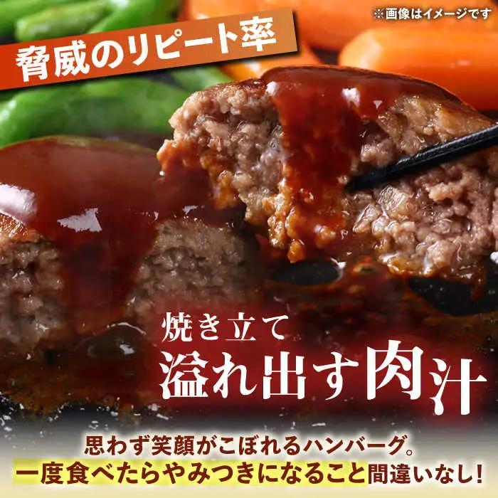 ハンバーグ屋の肉汁溢れる生ハンバーグ 150g×10個 [VDC003] ハンバーグ 冷凍