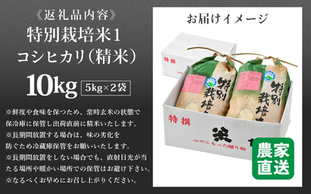 【令和5年産】コシヒカリ 精米 5kg×2袋（計10kg） 特別栽培米 農薬不使用 化学肥料不使用 ／ 高品質 鮮度抜群 福井県産 ブランド米 白米 あわら