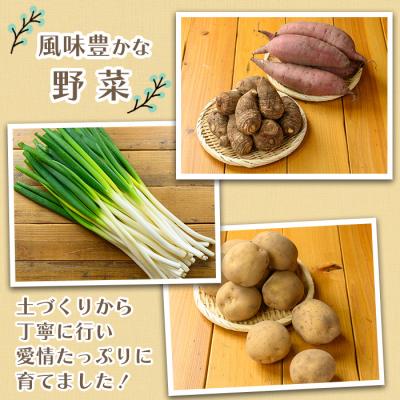 ふるさと納税 境港市 さといもと紅はるかのセット(約10kg)<10月上旬〜2月下旬発送予定> |  | 02