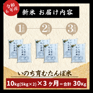 【定期便3回】 新米 玄米 コシヒカリ 計30kg 10kg×3回 定期便 栽培期間中無農薬 ｜ 徳島県 ふるさと納税 新生活 四国 徳島 小松島 新生活 おいしい お米 米 こめ おこめ 国産 限定