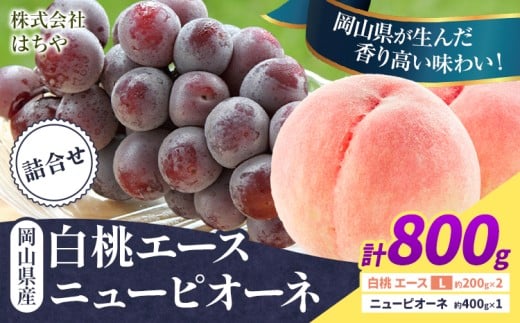 【2026年先行予約】岡山県産 岡山白桃 エース ニューピオーネ 計 800g 詰合せ 株式会社 はちや《2026年7月上旬‐8月下旬頃出荷》もも 岡山 国産 フルーツ 果物 岡山県 浅口市 フルーツ モモ 果物【配送不可地域あり】