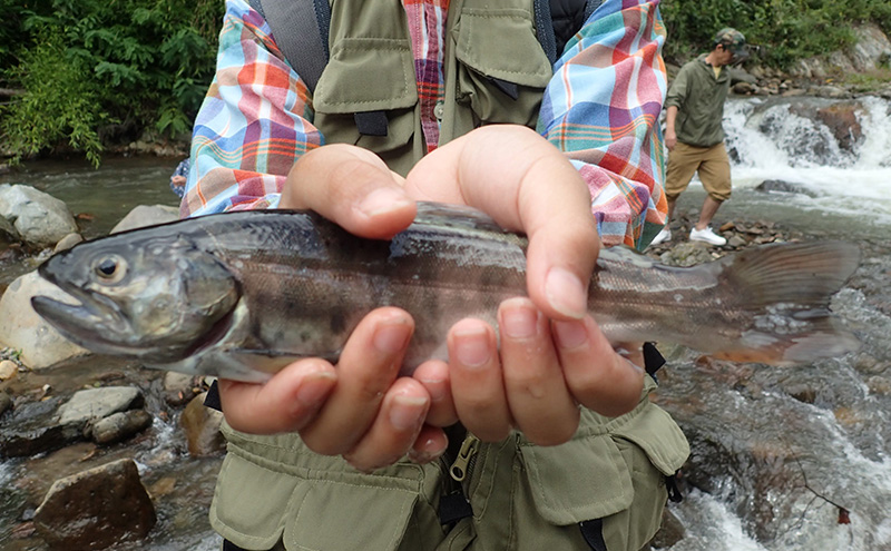 いつでもガイド　渓流釣り