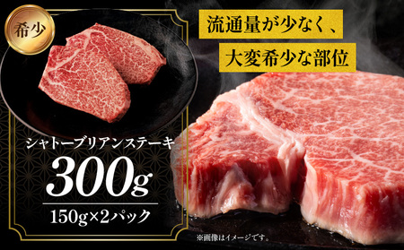 宮崎牛ヒレステーキセット 肉 牛 牛肉