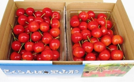 08-02-021　さくらんぼ(紅秀峰)1kg