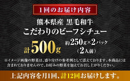 【全12回定期便】 熊本県産 黒毛和牛 こだわりのビーフシチュー 計2パック （約250g×2パック） ビーフシチュー ビーフ シチュー 牛肉 肉 　【有限会社スイートサプライなかぞの】[ZBV110