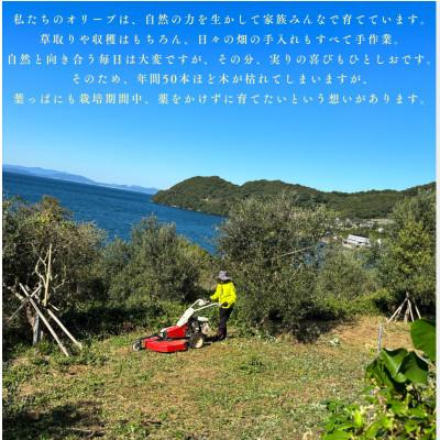 ふるさと納税 長与町 【大自然の長与町で丁寧に栽培した】エキストラバージンオリーブオイル 1本(120g) |  | 01