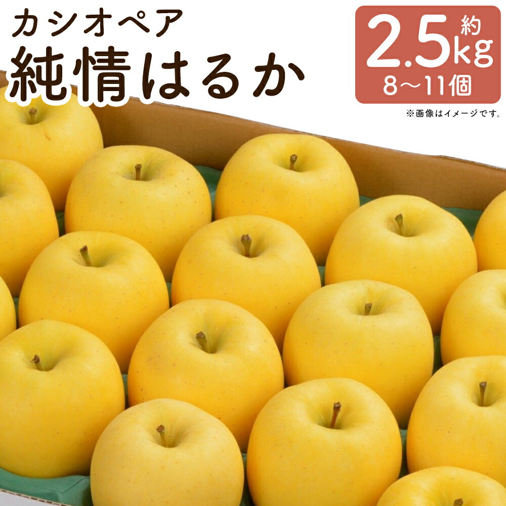 【ふるさと納税】二戸産 カシオペア 純情はるか 化粧箱入り 計約2.5kg（8個～11個） 黄色い りんご リンゴ 林檎 くだもの 果物 果実 フルーツ 甘味 香り 硬度 食感 岩手県産 国産 岩手県 二戸市 送料無料 【2025年12月上旬～下旬発送予定】