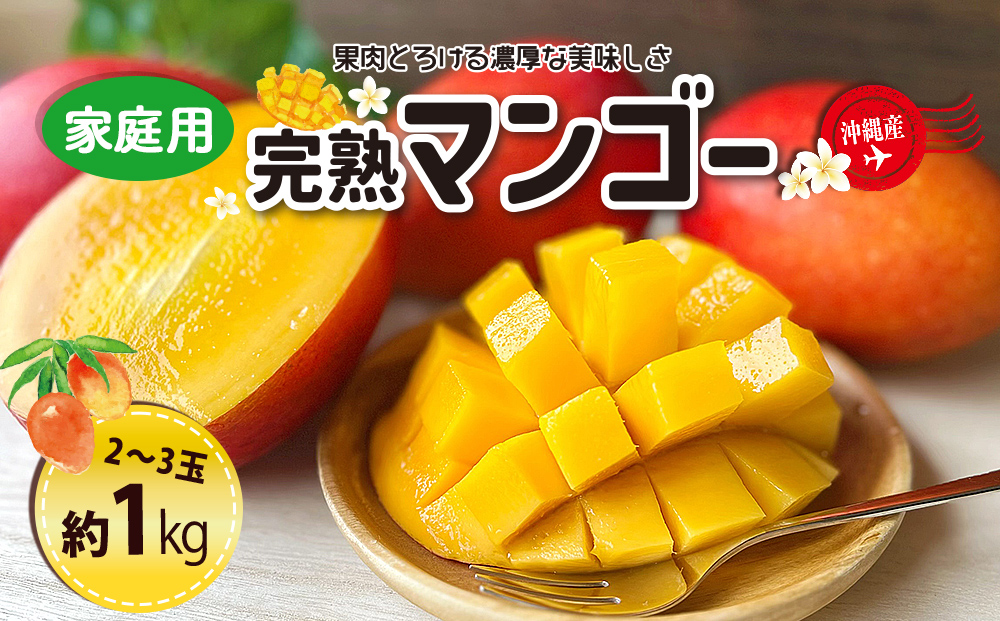 ＜熱帯資源植物研究所＞家庭用マンゴー１kg
