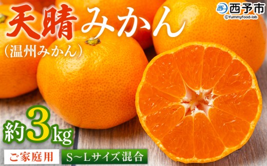 ＜愛媛県明浜産 天晴みかん（温州みかん）約3kg S～L混合＞ 家庭用 訳あり ワケアリ 果物 くだもの フルーツ ミカン 柑橘 特産品 笑丸 愛媛県 西予市【常温】『2026年11月中旬～2027年1月上旬迄に順次出荷予定』