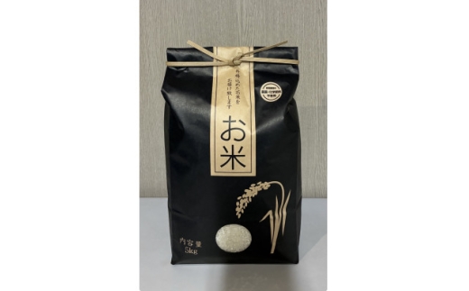 環境配慮型農業で育てた　岐阜県のお米　コシヒカリ　5kg (白米)【1715127】