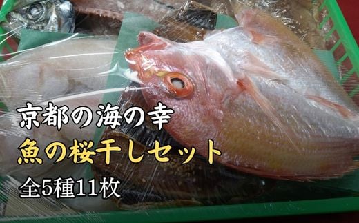 
            干物 詰め合わせ セット ( 全5種 11枚 ) 一夜干し 桜干し 魚 魚介 鰯 鯵 鰈 鯛 アジ カレイ イワシ レンコダイ 冷凍 贈答 贈答用 贈答品 プレゼント 化粧箱 人気 国産 ひもの お歳暮 お中元
          