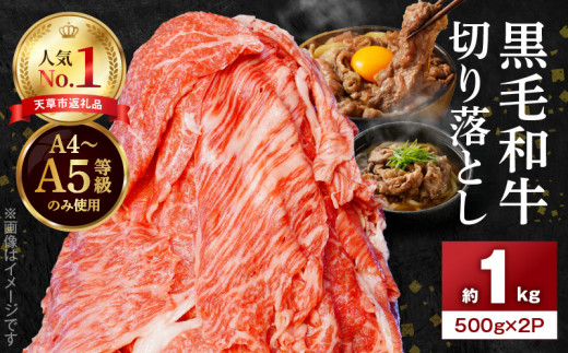 S001-001-04_【4月発送】A4～A5等級 黒毛和牛 切り落とし 1kg（500g×2P）