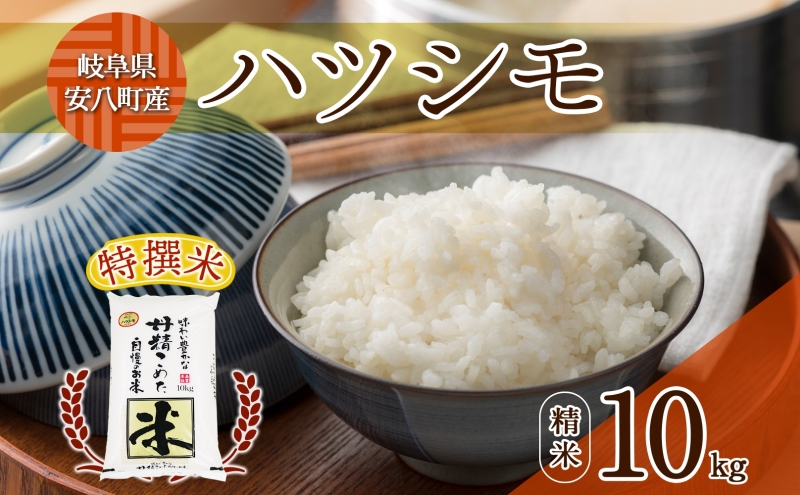 R6年産  特選米 ハツシモ 精米 10kg ×1袋 お米 米 白米 ごはん 精白米 はつしも 令和6年産 ブランド米 低農薬 お取り寄せ 産地直送 クリーンファームまき 送料無料 岐阜県 安八町