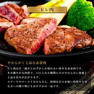 黒毛和牛ヒレステーキ 440g 鹿児島県産 2種 (220g×2P) 【カミチク】 No.546