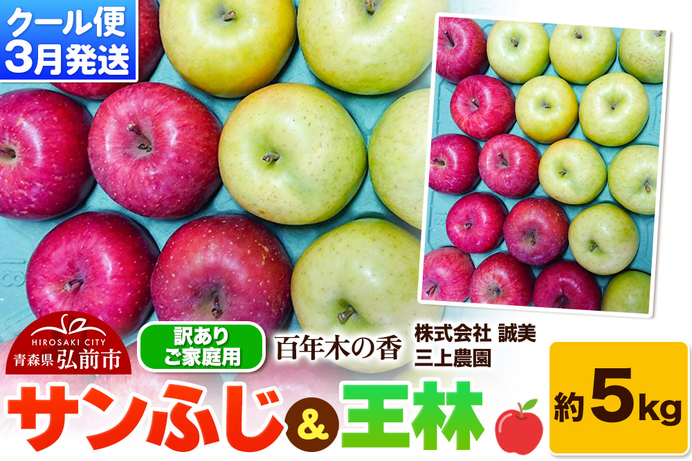 【26年3月クール便発送】りんご サンふじ＆王林 約5kg【訳あり】家庭用 百年木の香 三上農園