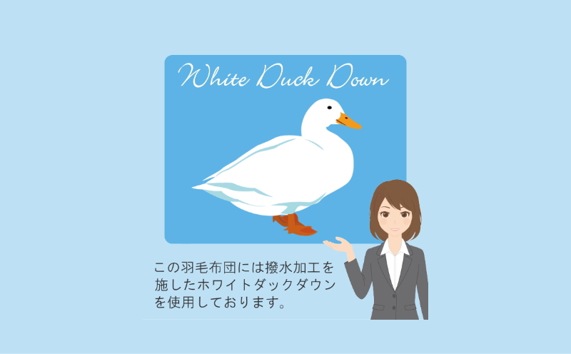 【セミダブル】洗濯機で洗える2枚合わせ羽毛ふとん(合い掛け+肌掛け)【新津】