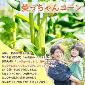 【 先行予約 】 とうもろこし みらい 12～18本 スイートコーン 朝どれ 糖度20度 味来 甘い 《 2024年6月～順次発送 》 コーン サラダ 徳島県 阿波市 【 野菜 とうきび 旬 新鮮 ギ