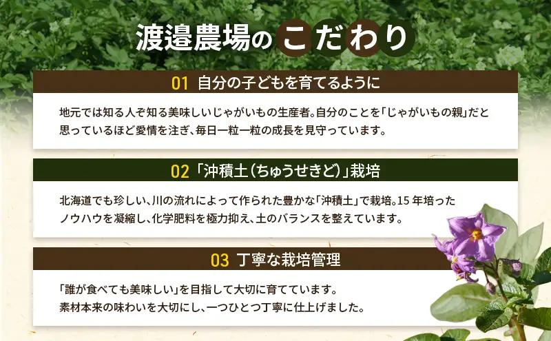 十勝 幕別町産 じゃがいも15kg おまかせ3種(各5kg)【渡邉農場】 [2026年11月出荷開始]【 野菜 いも イモ 芋 じゃがいも ジャガイモ 北海道 十勝 幕別 】