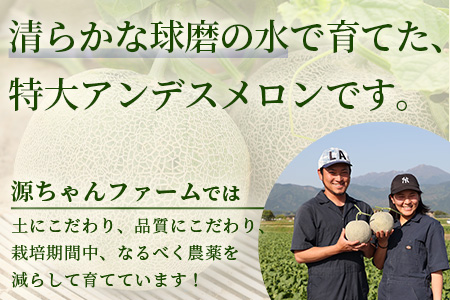 【2024年4月下旬以降発送分 先行予約】熊本県産 アンデスメロン 4玉 合計約5kg 【 4玉 特大 果物 フルーツ 旬 ネット メロン 熊本県 多良木町 農家直送 】 089-0688