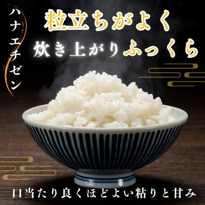 ふるさと納税 小浜市 令和8年産新米　福井県産ハナエチゼン10kg(5kg×2袋)白米 |  | 01