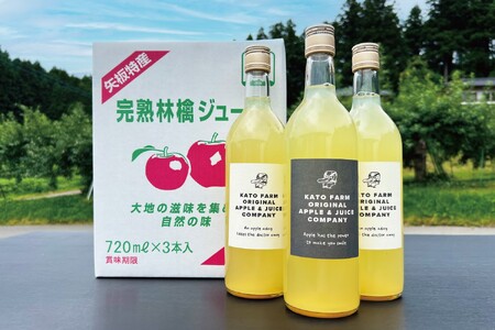 栃木県矢板市産 樹上完熟100%りんごジュース 720ml×3本入｜林檎 リンゴ 果汁100% 産地直送 [0454]