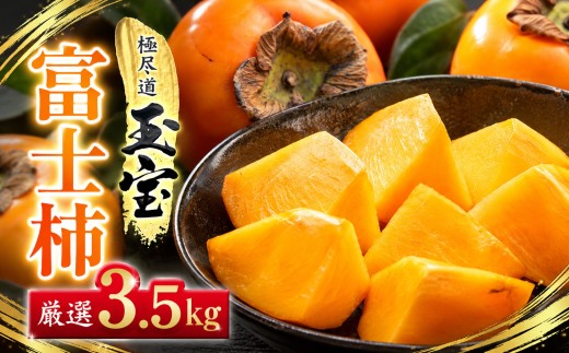 【先行受付】【堂々たる大玉】ずっしり濃密【富士柿】3.5kg　愛媛県産【64-96】【1751185】YWTY087