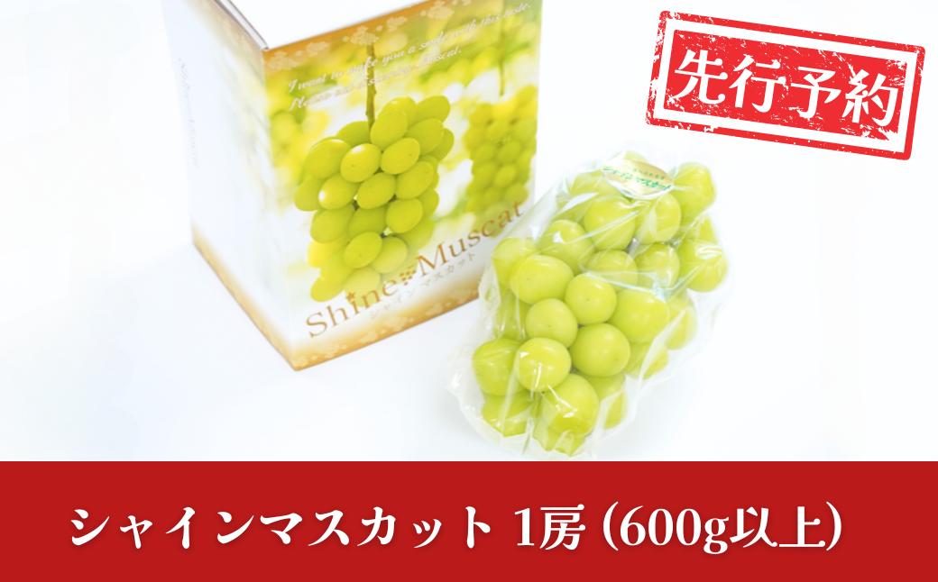 
            先行予約 シャインマスカット 1房 (600g以上) 令和8年度 新潟県産 種なし ぶどう マスカット [JAえちご中越]【010S079】
          