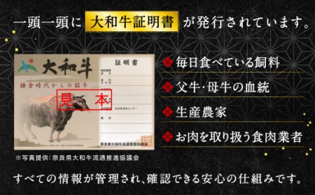 希少和牛 大和牛特選サーロインステーキ 約250g×4枚 特上牛肉 ステーキ 焼肉 イシダフーズ F-06