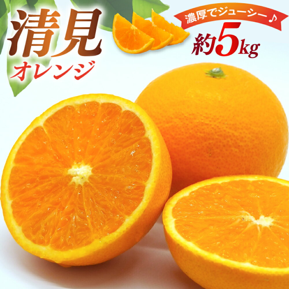 【ふるさと納税】先行予約 清見 オレンジ 約5kg（3L～M）みかん ミカン 蜜柑 柑橘 果物 くだもの フルーツ 5キロ 国産 九州 長崎県 長崎市 送料無料【2026年3月下旬～4月上旬発送予定】