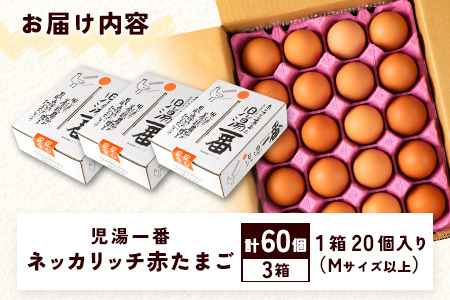 ＜児湯養鶏自慢の卵 ＞ネッカリッチ赤たまご「児湯一番」計60個（20個入×3箱）【B23】