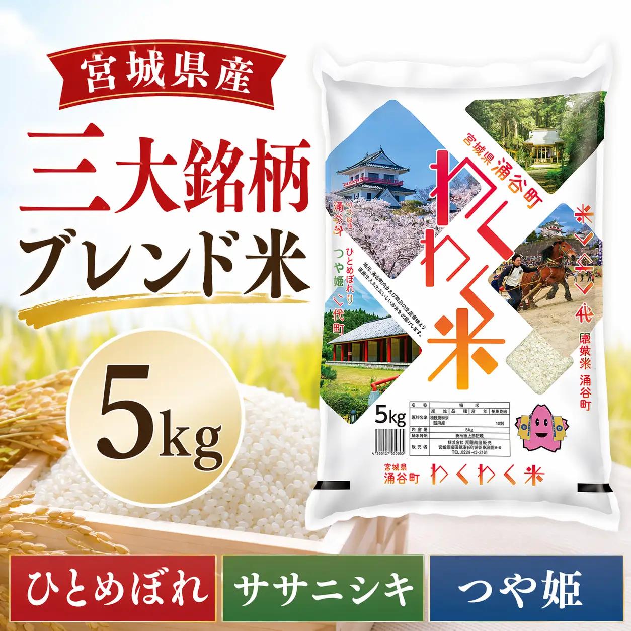 お米 【数量限定】宮城県産 三大銘柄 ブレンド米 5kg (5kg×1袋) 【araseki001】
