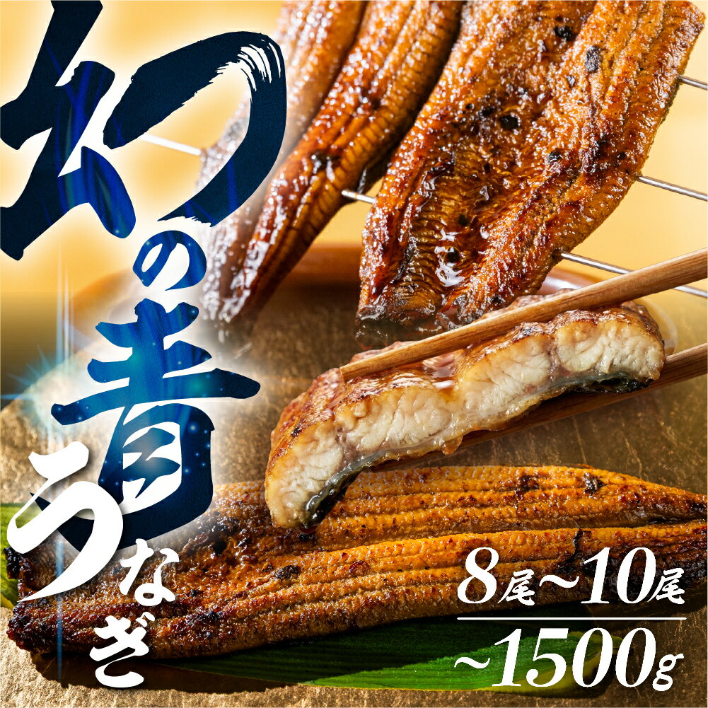 【ふるさと納税】＼★4.71／ 幻の青うなぎ 8尾 10尾 蒲焼 高評価 発送時期が選べる 8尾 10尾 青鰻 鰻 うなぎ 蒲焼き 最高級 長蒲焼 特大サイズ 土用の丑の日 父の日 丑の日 指定日 ひつまぶし 冷凍 惣菜 unagi ランキング ギフト ブランド魚 先行予約