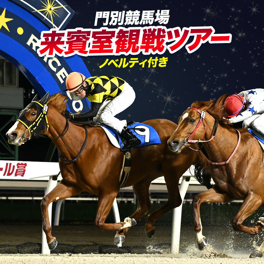 【ふるさと納税】門別競馬場 来賓室 観戦ツアー 1名様 招待券 VIP ホッカイドウ競馬 一般社団法人北海道軽種馬振興公社 北海道 日高町 競馬 体験型 チケット 入場券 予約制 ノベルティ付 特典 地方競馬 プレゼント 贈り物 送料無料 門別《30日以内に出荷予定(土日祝除く)》