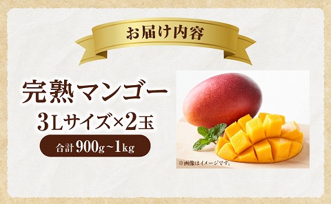 《2025年発送先行予約》【期間・数量限定】完熟マンゴー 3Lサイズ 2玉