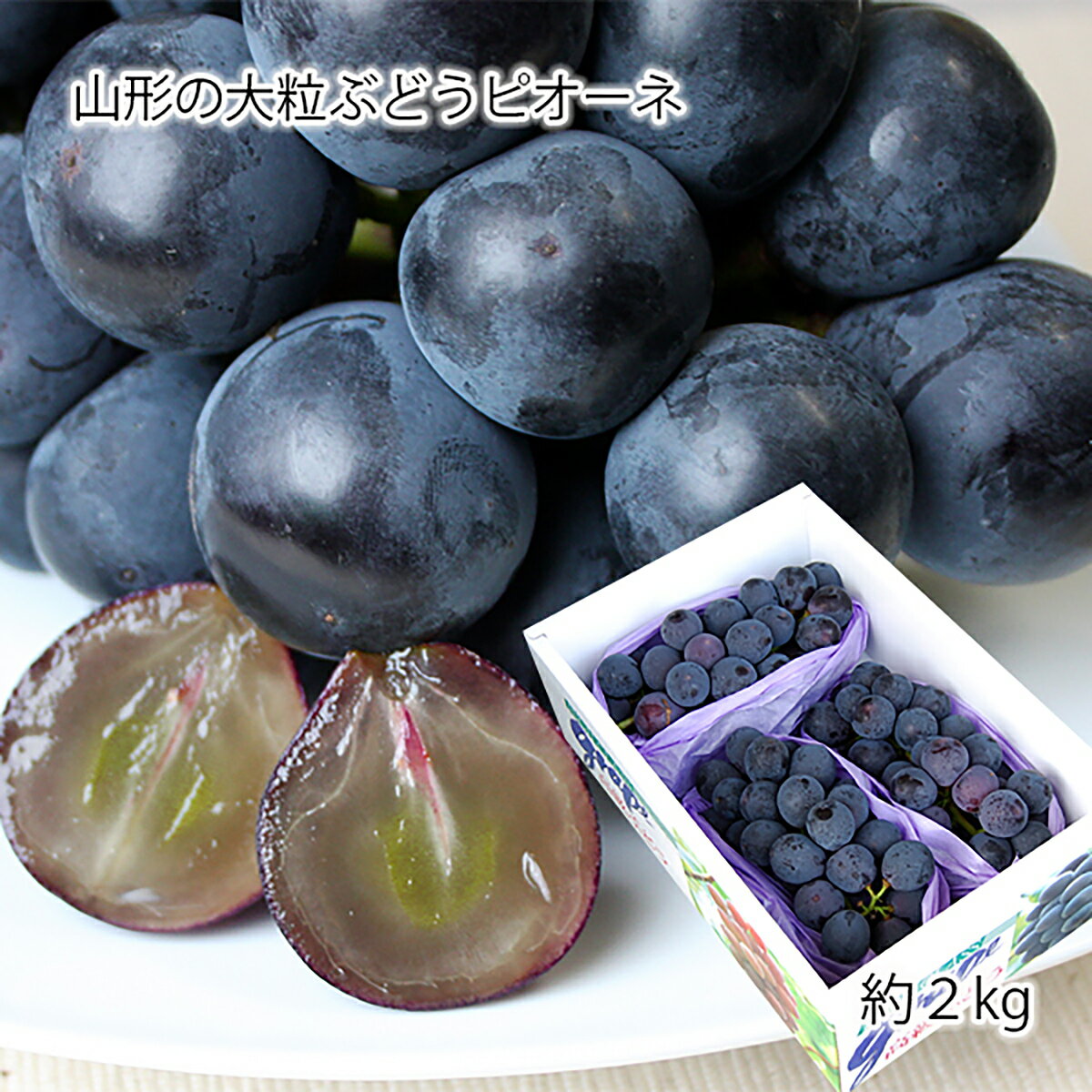 【ふるさと納税】山形のぶどう ピオーネ 秀品 約2kg(2〜5房) 【令和7年産先行予約】FS24-647 くだもの 果物 フルーツ 山形 山形県 山形市 お取り寄せ 2025年産