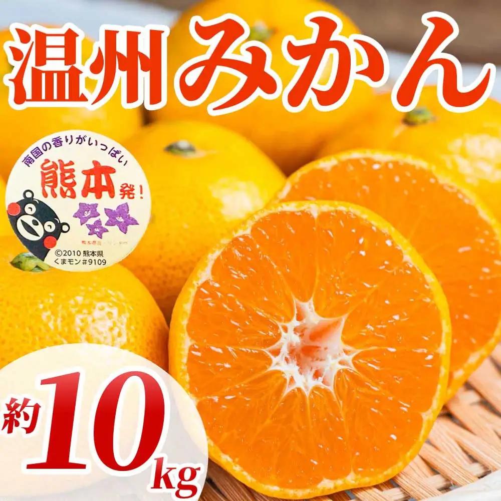 先行予約 温州みかん 約10㎏ （2S～2L）【2026年10月上旬～2027年2月下旬発送予定】
