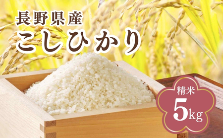 コシヒカリ 精米 5kg 令和7年産 |コシヒカリ 5kg