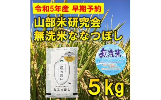 ＜発送月固定定期便＞◆令和7年産先行受付◆＜無洗米＞特A受賞!富良野市産ななつぼし 精米5kg全3回【4000348】