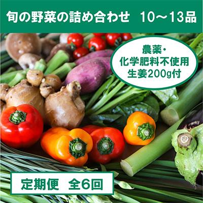 ふるさと納税 南国市 【毎月定期便】旬の野菜と栽培期間中農薬不使用の生姜200g 全6回