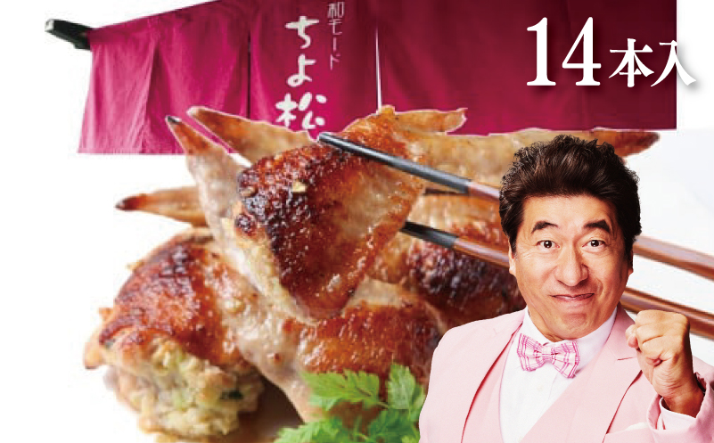 手羽先餃子14本 日本料理屋のお惣菜 さのうまみ鶏【大阪 泉佐野 大阪府 泉佐野市】