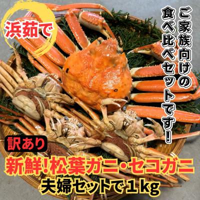ふるさと納税 岩美町 鳥取網代港【訳あり】浜茹で!松葉ガニ・セコガニ1kgセット【さかなや新鮮組】