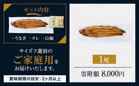 うなぎ ご家庭用 1尾 国産  鰻 真空パック おすすめ うなぎの蒲焼 《丑の日に！7月上旬〜7月中旬出荷》 有頭 ふるさとのうぜい 鶏炭火焼 訳あり 簡易包装 不揃い ウナギ unagi 蒲焼 秋 