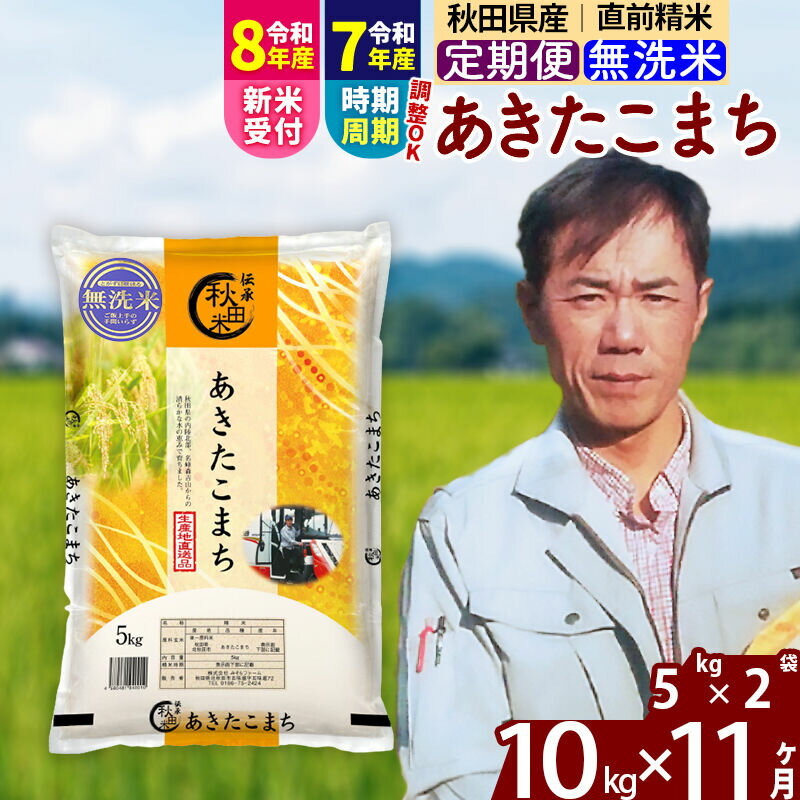 【ふるさと納税】※令和7年産／R8産新米予約※ 《定期便11ヶ月》秋田県産 あきたこまち 10kg【無洗米】(5kg小分け袋) 2025年産 2026年産 令和8年産 お届け時期選べる お届け周期調整可能 隔月に調整OK お米 みそらファーム