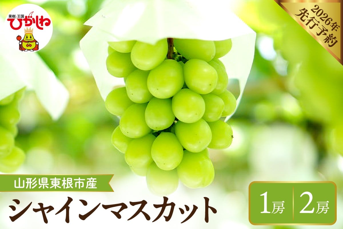 
            【2026年産先行予約】 ≪内容量が選べる≫ シャインマスカット 【約600g(1房入)・約1.2kg(2房入)】 晴天畑提供 山形県 東根市 hi026-053-o
          