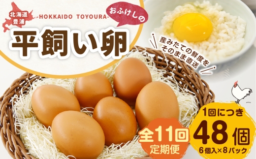 [ 定期1ヶ月毎11回 ] 北海道 豊浦 おふけしの平飼い卵 （ 6個入 × 8パック ） 48個 卵 たまご タマゴ 玉子 エッグ 黄身 鶏卵 ゆで卵 目玉焼き 卵焼き 卵かけご飯 たまごかけごはん TKG 平飼い卵 冷蔵 定期 定期配送