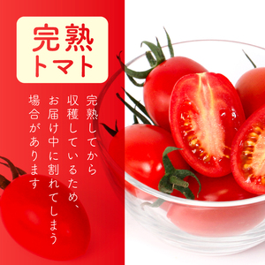 アイコ 約1.6kg 大瀧農園 トマト 完熟トマト 野菜 産地 直送 人気 国産 愛媛県 愛南町 発送期間：2026年3月1日～7月頃まで（※なくなり次第終了）