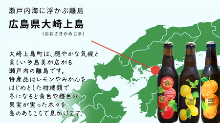 【12/21入金確認分まで年内お届け】大崎上島 の クラフトビール 3種 各1本