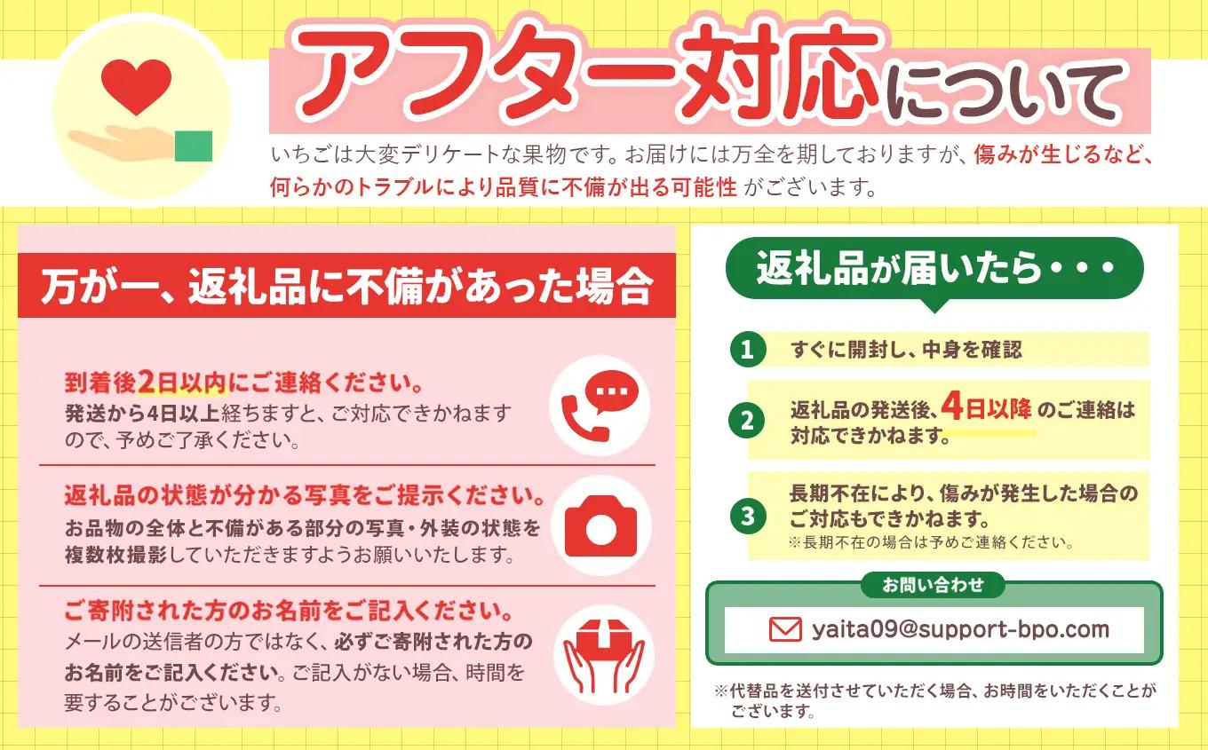 【2027年 先行予約】【定期便3回】いちごの新時代「とちあいか」280g×4P×3回（合計3360g）｜栃木県 矢板市産