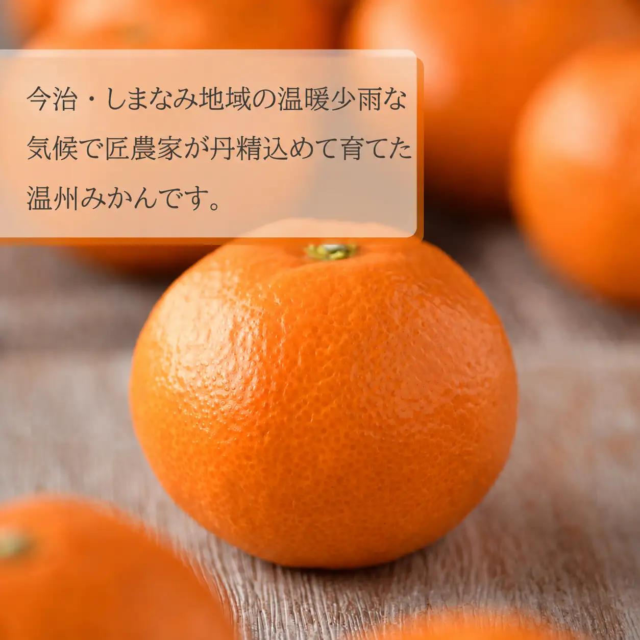 みかん 【先行予約】瀬戸内の温州みかん4kg L～S